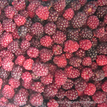 IQF Freezing Organic Blackberry Zl-020